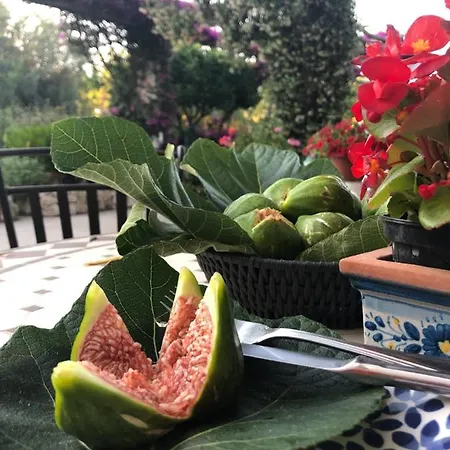 Al Mulino - Mediterranean Garden Retreat In Hotell