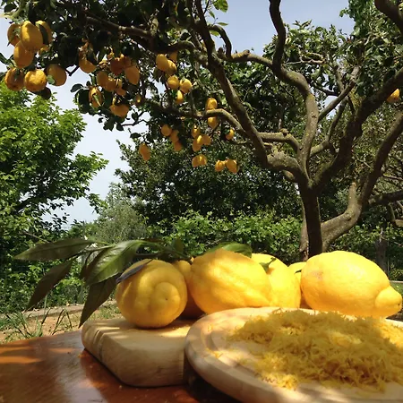 Al Mulino - Mediterranean Garden Retreat In Hotell Anacapri (Isola di Capri)