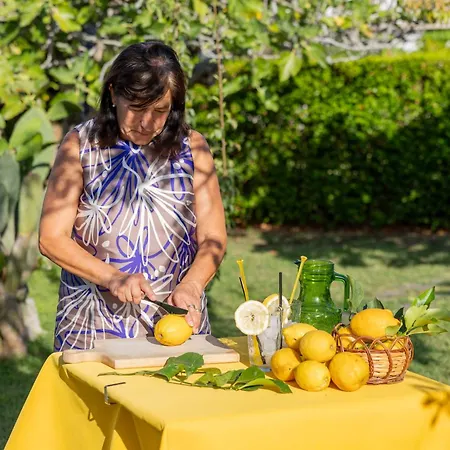 Al Mulino - Mediterranean Garden Retreat In Anacapri (Isola di Capri)