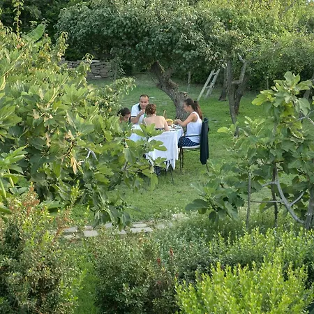 Hotel Al Mulino - Mediterranean Garden Retreat In