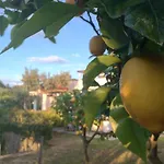 Al Mulino - Mediterranean Garden Retreat In 3* Anacapri (Isola di Capri)