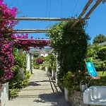 Hotel Al Mulino - Mediterranean Garden Retreat In