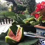 Al Mulino - Mediterranean Garden Retreat In 酒店