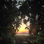 Al Mulino - Mediterranean Garden Retreat In Hotel