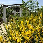 Al Mulino - Mediterranean Garden Retreat In 阿纳卡普里