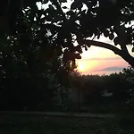 Al Mulino - Mediterranean Garden Retreat In Anacapri (Isola di Capri)