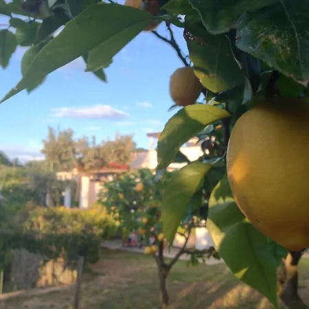 Al Mulino - Mediterranean Garden Retreat In 3* Anacapri (Isola di Capri)