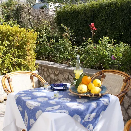 Hotel Al Mulino - Mediterranean Garden Retreat In Anacapri (Isola di Capri)
