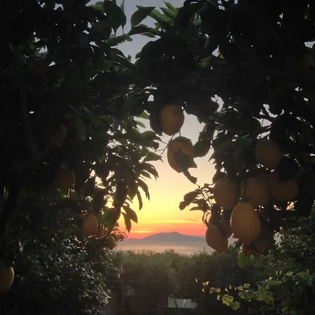 Al Mulino - Mediterranean Garden Retreat In Hotel