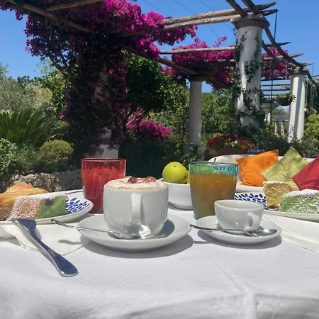 Hotel Hotel Al Mulino - Mediterranean Garden Retreat in AnaCapri 3*