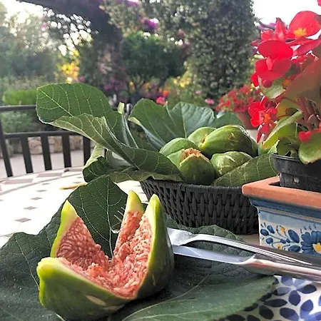 Hotel Al Mulino - Mediterranean Garden Retreat In Anacapri (Isola di Capri)