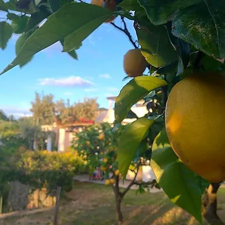 Al Mulino - Mediterranean Garden Retreat In 3* אנה קאפרי