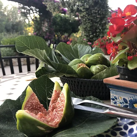 Al Mulino - Mediterranean Garden Retreat In 3* Anacapri (Isola di Capri)