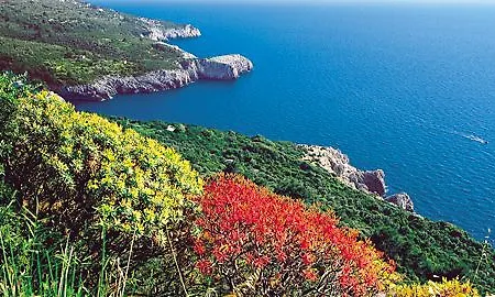 Al Mulino - Mediterranean Garden Retreat In 阿纳卡普里