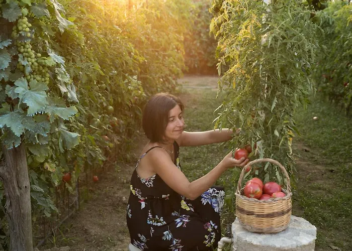 Al Mulino Anacapri (Isola di Capri)