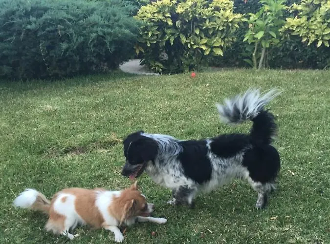 Al Mulino - Mediterranean Garden Retreat In Ξενοδοχείο