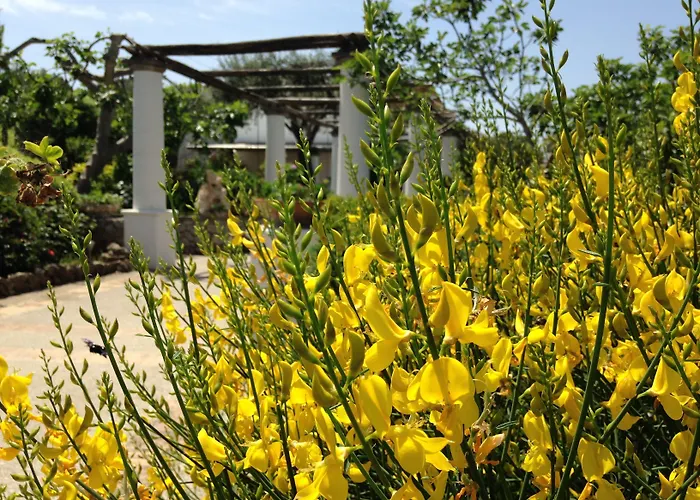 Hotel Al Mulino - Mediterranean Garden Retreat In Anacapri Анакапри