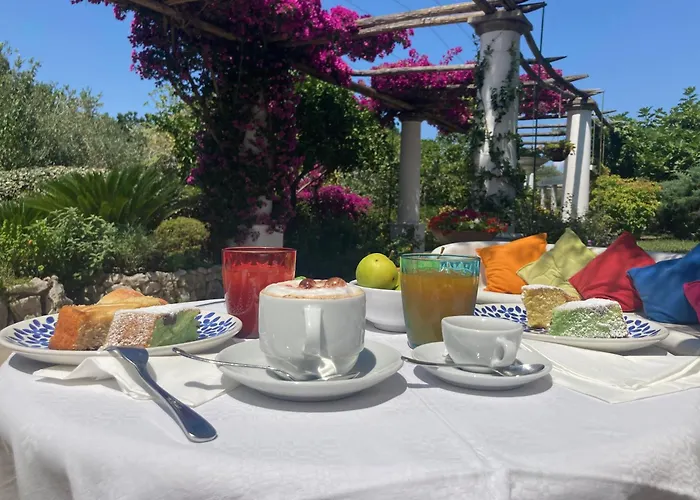 Отель Hotel Al Mulino - Mediterranean Garden Retreat In Anacapri 3*