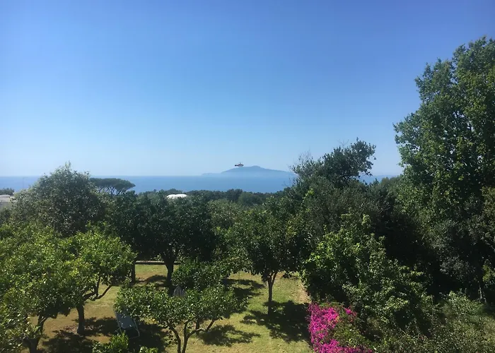 Hotel Al Mulino - Mediterranean Garden Retreat in AnaCapri Hotel Anacapri (Isola di Capri)