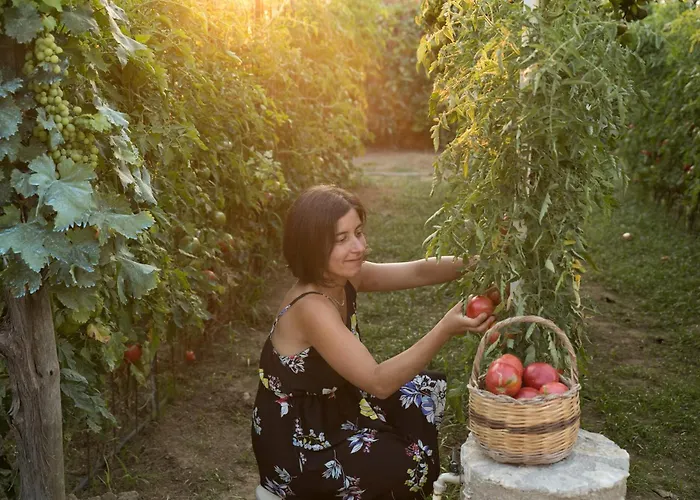 فندق فندق ألمولينو أناكابْري