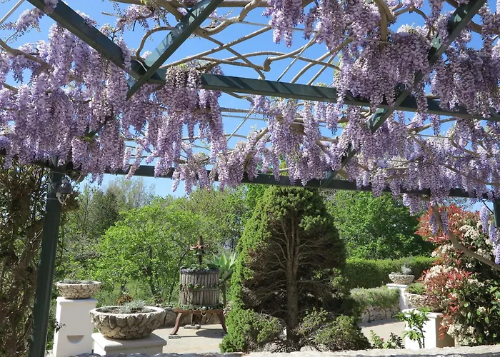 Al Mulino - Mediterranean Hideaway 3* Anacapri (Isola di Capri)