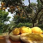 Al Mulino - Mediterranean Garden Retreat In מלון אנה קאפרי