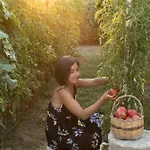 מלון Al Mulino - Mediterranean Garden Retreat In אנה קאפרי