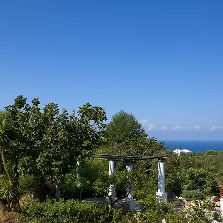 Al Mulino - Mediterranean Garden Retreat In 3* Anacapri (Isola di Capri)