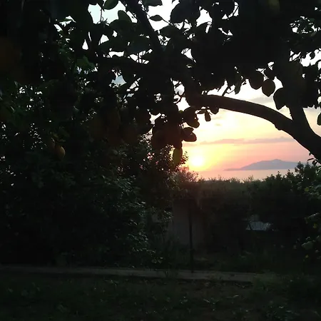 Al Mulino - Mediterranean Garden Retreat In Anacapri (Isola di Capri)