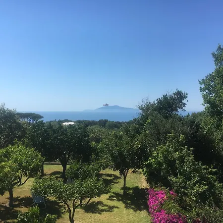 Hotel Al Mulino - Mediterranean Garden Retreat In Anacapri Szálloda Anacapri