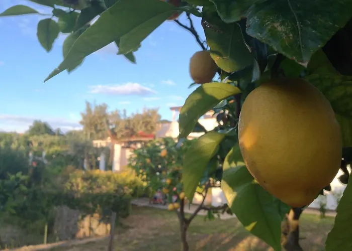 Hotel Al Mulino - Mediterranean Garden Retreat In Anacapri 3* 아나카프리