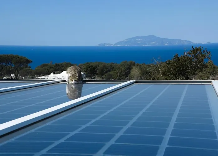 Hotel Al Mulino - Mediterranean Garden Retreat In Anacapri 호텔 아나카프리