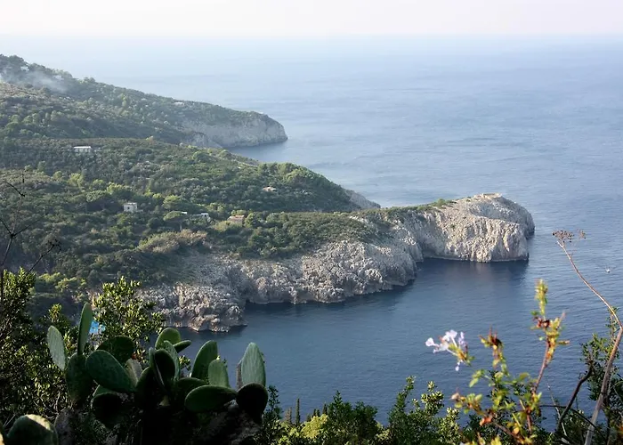 Hotel Al Mulino - Mediterranean Garden Retreat In Anacapri Szálloda 3*