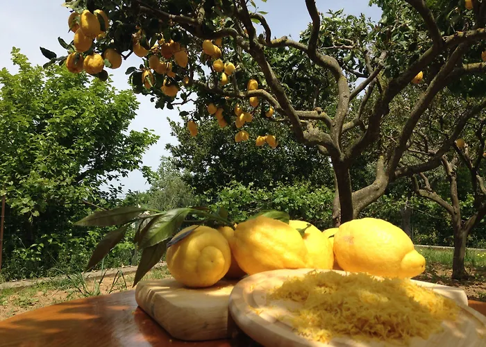 Hotel Al Mulino - Mediterranean Garden Retreat In Anacapri 호텔 아나카프리