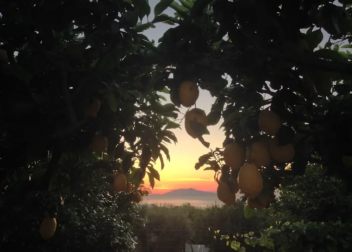 Hotel Al Mulino - Mediterranean Garden Retreat In Anacapri 호텔