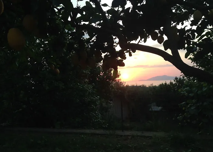 Hotel Al Mulino - Mediterranean Garden Retreat In Anacapri Anacapri