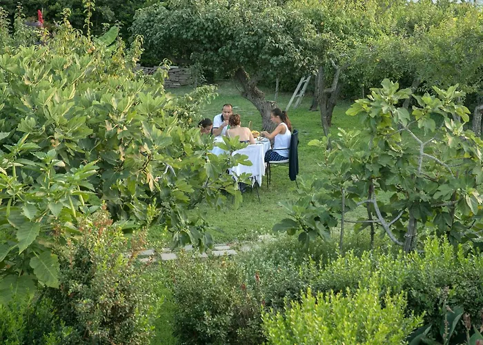 Szálloda Hotel Al Mulino - Mediterranean Garden Retreat In Anacapri